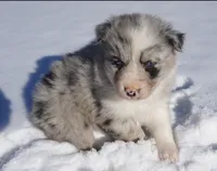 processed/afa53ab6-fe76-409e-98b6-34fe11438367/listing/fae42c3e-4170-4036-a954-445f85e1e333/913fd06f-4d00-4e75-9b85-7e8f95f15cf8