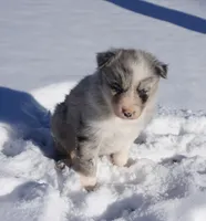 processed/afa53ab6-fe76-409e-98b6-34fe11438367/listing/fae42c3e-4170-4036-a954-445f85e1e333/aa63ab01-23ff-45d1-99b5-c28de765e9ab