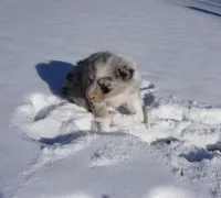 processed/afa53ab6-fe76-409e-98b6-34fe11438367/listing/fae42c3e-4170-4036-a954-445f85e1e333/c26165cc-83a2-4acc-b9d3-a3b32007f059