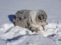 processed/afa53ab6-fe76-409e-98b6-34fe11438367/listing/fae42c3e-4170-4036-a954-445f85e1e333/e1a55aec-8391-4e9a-b71b-72deadbac806