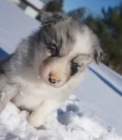 processed/afa53ab6-fe76-409e-98b6-34fe11438367/listing/fae42c3e-4170-4036-a954-445f85e1e333/f418fbff-52ef-449c-806c-1ad5d868390f