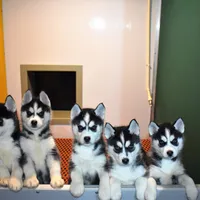 processed/afa5f442-bd38-40ea-bd1f-dd32cb3cbf25/facility/2b4be2ea-a164-4479-a0e4-0291ba4b79a2