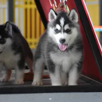 processed/afa5f442-bd38-40ea-bd1f-dd32cb3cbf25/facility/54c3f17e-a458-4024-bf69-d21e1f43e151