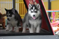 processed/afa5f442-bd38-40ea-bd1f-dd32cb3cbf25/facility/54c3f17e-a458-4024-bf69-d21e1f43e151