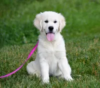 processed/afa5f442-bd38-40ea-bd1f-dd32cb3cbf25/facility/b93eaede-2c5e-4907-9216-e8444f4f62b3