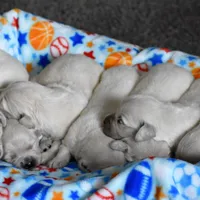 processed/afa5f442-bd38-40ea-bd1f-dd32cb3cbf25/facility/e9a1ecdf-a10f-434e-9f6f-4b41805dff64