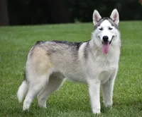 processed/afa5f442-bd38-40ea-bd1f-dd32cb3cbf25/listing/228d2a18-ad83-4bff-b327-cc9b5730fed4/086406d0-d6e4-409f-92e2-baad37b27727