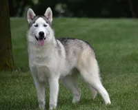 processed/afa5f442-bd38-40ea-bd1f-dd32cb3cbf25/listing/228d2a18-ad83-4bff-b327-cc9b5730fed4/765f9d83-5d44-42f2-8434-c8950edc5715