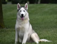 processed/afa5f442-bd38-40ea-bd1f-dd32cb3cbf25/listing/228d2a18-ad83-4bff-b327-cc9b5730fed4/dfb0a983-206a-456a-8d50-20b64ad1c1aa