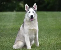 processed/afa5f442-bd38-40ea-bd1f-dd32cb3cbf25/listing/228d2a18-ad83-4bff-b327-cc9b5730fed4/fa6db8b5-089c-485d-920a-fa96e21c85cc