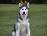 processed/afa5f442-bd38-40ea-bd1f-dd32cb3cbf25/listing/dd28d14a-941c-4937-874a-e6a966c6c47b/0f39888d-ddc2-46c9-889d-9ce66b0576f3