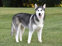 processed/afa5f442-bd38-40ea-bd1f-dd32cb3cbf25/listing/dd28d14a-941c-4937-874a-e6a966c6c47b/4e987d22-7154-408f-a50c-d926ec6fb80c