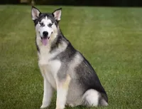 processed/afa5f442-bd38-40ea-bd1f-dd32cb3cbf25/listing/dd28d14a-941c-4937-874a-e6a966c6c47b/6b5c43cd-3218-4297-868c-f8a0c9d6c36a