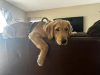 processed/afa968a6-b3a0-492d-b93e-48c531b872b5/facility/392fae2b-dcdd-4c7d-b3a7-44e780b1c9c8