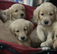 processed/afa968a6-b3a0-492d-b93e-48c531b872b5/facility/6d7fce1b-5edd-4b2a-99de-7b1dfe698037