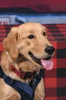 processed/afa968a6-b3a0-492d-b93e-48c531b872b5/facility/77e1385e-a51b-4042-aa32-7c5b30e0fc8c