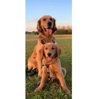 processed/afa968a6-b3a0-492d-b93e-48c531b872b5/facility/87f43297-1853-4de6-b584-d82490f02c98