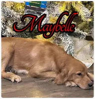 processed/afa968a6-b3a0-492d-b93e-48c531b872b5/facility/c8fee30e-47d2-4073-b3f1-5f73c1dee7aa