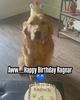 processed/afa968a6-b3a0-492d-b93e-48c531b872b5/facility/d74e0260-f4f1-465e-815b-913dfd266afd