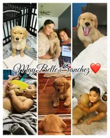 processed/afa968a6-b3a0-492d-b93e-48c531b872b5/facility/eb1c3dd7-4ecf-4e69-ab9c-538fc0c92eba