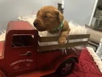 processed/afa968a6-b3a0-492d-b93e-48c531b872b5/listing/5e5d55b6-2886-4d9d-87a2-63aa071b0b90/6ec9ecee-efea-4eba-82eb-7f100e27678f