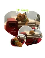 processed/afa968a6-b3a0-492d-b93e-48c531b872b5/listing/5e5d55b6-2886-4d9d-87a2-63aa071b0b90/9c5538e6-38a8-4ada-aa8f-2f77e704e324