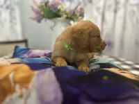 processed/afa968a6-b3a0-492d-b93e-48c531b872b5/listing/5e5d55b6-2886-4d9d-87a2-63aa071b0b90/c4dc91da-e15e-46d8-97f3-1948b78e7361