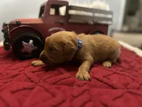 processed/afa968a6-b3a0-492d-b93e-48c531b872b5/listing/896f986d-1536-48b3-b508-b6cbae1480c2/05cce79c-cb0a-4c9d-81c7-62403ede92e1