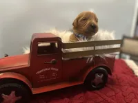 processed/afa968a6-b3a0-492d-b93e-48c531b872b5/listing/896f986d-1536-48b3-b508-b6cbae1480c2/f4afc886-2c2f-40f8-8591-1a1125ed3148