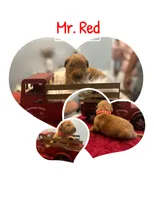 processed/afa968a6-b3a0-492d-b93e-48c531b872b5/listing/90f4f42c-83d3-4b0d-82b7-6135560eb4ac/4de2ccb7-fe3b-4b2b-b9ff-9047b455118e