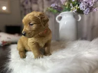 processed/afa968a6-b3a0-492d-b93e-48c531b872b5/listing/90f4f42c-83d3-4b0d-82b7-6135560eb4ac/7ac22d3b-a7e5-48ec-bc1c-5861a3cb819a