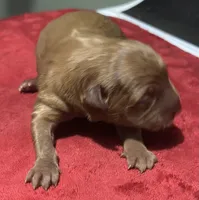 processed/afa968a6-b3a0-492d-b93e-48c531b872b5/listing/90f4f42c-83d3-4b0d-82b7-6135560eb4ac/9520628f-c6fc-4453-8f58-a82e65fe73f8