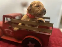 processed/afa968a6-b3a0-492d-b93e-48c531b872b5/listing/90f4f42c-83d3-4b0d-82b7-6135560eb4ac/d0c2539f-e816-48a4-b861-8d7e6a567911