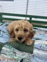 processed/afa9cca2-5d85-45ac-b590-9919e8bcaf2d/listing/b1fc1b9e-3b1a-4704-9919-83ffff22483a/576fe55e-6d22-456d-8507-3d7587ed34fb