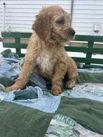 processed/afa9cca2-5d85-45ac-b590-9919e8bcaf2d/listing/b1fc1b9e-3b1a-4704-9919-83ffff22483a/eb4e6062-342f-46d5-b710-6a12b1596d37