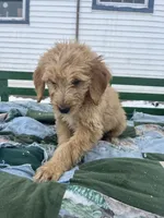 processed/afa9cca2-5d85-45ac-b590-9919e8bcaf2d/listing/d3fd6889-c699-4186-a582-1aa18e28b463/58ec0968-d920-4d4f-bc90-bb0f1e0ae09e