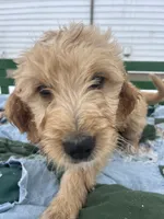 processed/afa9cca2-5d85-45ac-b590-9919e8bcaf2d/listing/d3fd6889-c699-4186-a582-1aa18e28b463/c0583375-65de-4cba-833b-bf9e35be8ff6