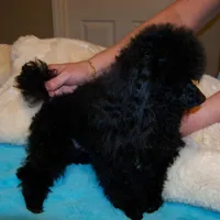 processed/afae9b4c-cebb-4885-bb82-3a3af762ee76/facility/22098c73-8844-4028-83e0-6f6fd810e901