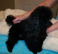 processed/afae9b4c-cebb-4885-bb82-3a3af762ee76/facility/22098c73-8844-4028-83e0-6f6fd810e901