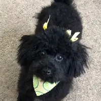 processed/afae9b4c-cebb-4885-bb82-3a3af762ee76/facility/22c9ba79-3a9b-4434-b550-f3a5932742d9