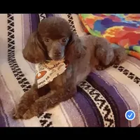 processed/afae9b4c-cebb-4885-bb82-3a3af762ee76/facility/2756a967-0885-42a2-bcc6-d9f7aaa917a4