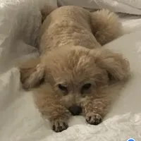 processed/afae9b4c-cebb-4885-bb82-3a3af762ee76/facility/2a2fe881-7df3-4d86-9332-52772f602339