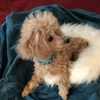 processed/afae9b4c-cebb-4885-bb82-3a3af762ee76/facility/7cc8c141-0cde-4968-b5c5-0451614db4d2