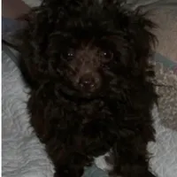 processed/afae9b4c-cebb-4885-bb82-3a3af762ee76/facility/89982c40-c540-4444-88cc-b30e146762b6