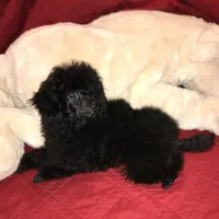 processed/afae9b4c-cebb-4885-bb82-3a3af762ee76/facility/988c9446-bc7e-4f25-b6f7-574b635e9950