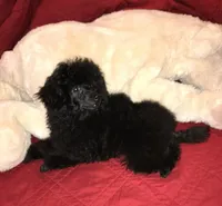 processed/afae9b4c-cebb-4885-bb82-3a3af762ee76/facility/988c9446-bc7e-4f25-b6f7-574b635e9950