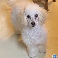 processed/afae9b4c-cebb-4885-bb82-3a3af762ee76/facility/9ad25faf-552b-4fd0-911b-63bc02c3f3ce