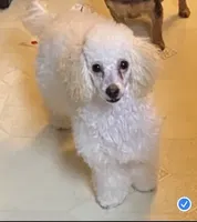 processed/afae9b4c-cebb-4885-bb82-3a3af762ee76/facility/9ad25faf-552b-4fd0-911b-63bc02c3f3ce