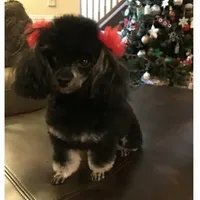 processed/afae9b4c-cebb-4885-bb82-3a3af762ee76/facility/bab8cca7-8f2e-4c32-96de-8482dbc06123