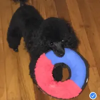 processed/afae9b4c-cebb-4885-bb82-3a3af762ee76/facility/cc491da5-4b66-4d28-bae8-c9f7b5179017